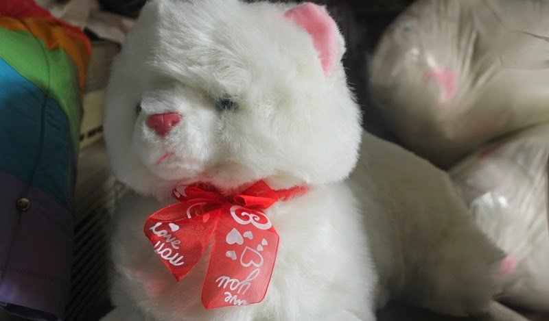 boneka zhovy toys