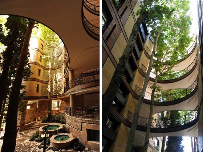 Apartemen Ini Dibangun Tanpa Menebang Satu Pohon