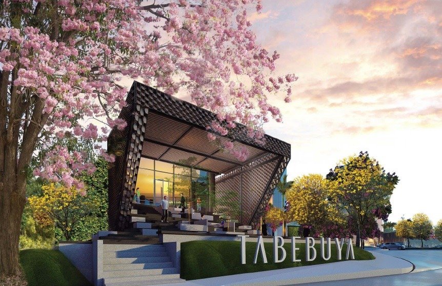 Tabebuya bsd city