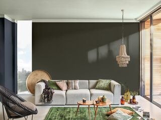 tren warna dari cat dulux